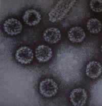 HPV MEDICAL CENTER y MEDICAL GROUP HPV - tratamiento del hpv (VPH)